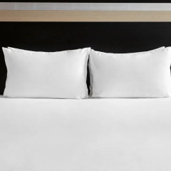 Отель Holiday Inn Dresden - Am Zwinger Германия, Дрезден - 2 отзыва об отеле, цены и фото номеров - забронировать отель Holiday Inn Dresden - Am Zwinger онлайн комната для гостей фото 2