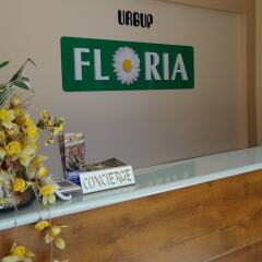 Floria Hotel интерьер отеля фото 2