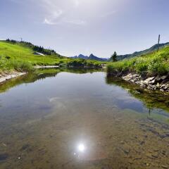Отель Alpinresort Damüls