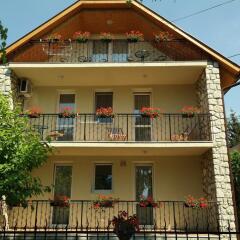 Отель Deluxe Apartments Венгрия, Хевиз - отзывы, цены и фото номеров - забронировать отель Deluxe Apartments онлайн фото 2