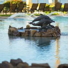 Отель Villa La Estancia Beach Resort & Spa спортивное сооружение