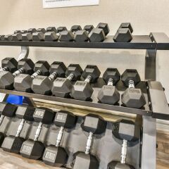 Отель Comfort Inn Montréal Aéroport Канада, Монреаль - отзывы, цены и фото номеров - забронировать отель Comfort Inn Montréal Aéroport онлайн фитнесс-зал фото 2