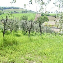 Отель Agriturismo Relais La Scala Di Seta Италия, Потенца-Пичена - отзывы, цены и фото номеров - забронировать отель Agriturismo Relais La Scala Di Seta онлайн