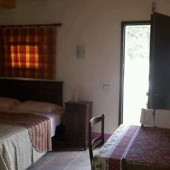 Отель Agriturismo Azienda Agricola Alfieri Озимо комната для гостей фото 2