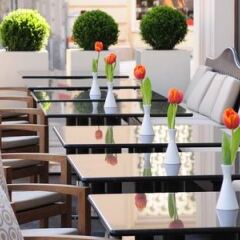 Отель The Ring Vienna's Casual Luxury Hotel Австрия, Вена - 3 отзыва об отеле, цены и фото номеров - забронировать отель The Ring Vienna's Casual Luxury Hotel онлайн бассейн