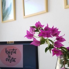 Отель Hostel Hasta La Vista Албания, Саранда - отзывы, цены и фото номеров - забронировать отель Hostel Hasta La Vista онлайн удобства в номере