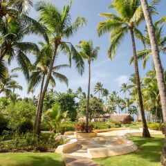 Отель Impressive Premium Resort & Spa Punta Cana – All Inclusive фото 9