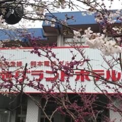Kikuchi Grand Hotel Минамиогуни спортивное сооружение