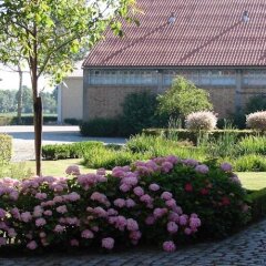 Отель Holiday Home De Colve