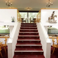 Отель Club Hotel Davos Швейцария, Давос - отзывы, цены и фото номеров - забронировать отель Club Hotel Davos онлайн помещение для мероприятий фото 2
