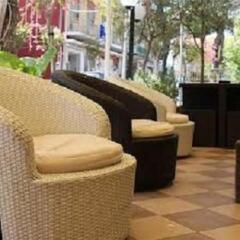 Hotel Ribot фото 29