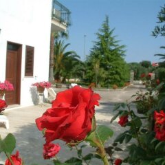 Отель B&B Li Ccoti Италия, Канноле - отзывы, цены и фото номеров - забронировать отель B&B Li Ccoti онлайн