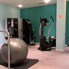 Quality Hotel Plaza Dresden фитнесс-зал