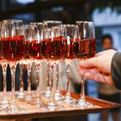 Отель Nove Болгария, Свиштов - отзывы, цены и фото номеров - забронировать отель Nove онлайн гостиничный бар