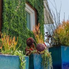 Отель Santa Monica Motel с домашними животными