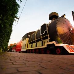 Отель The Train Resort фото 5