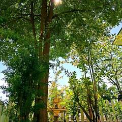 Hush Hush Cabiner - Hostel Бангкок фото 15