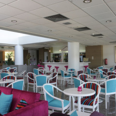 Crystal Springs Beach Hotel гостиничный бар