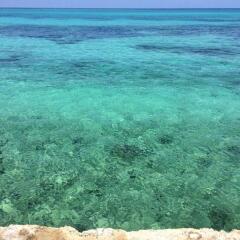 The Wexford Hotel Montego Bay пляж