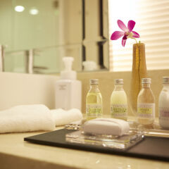 Hotel Mahaina Wellness Resort Okinawa в номере фото 2