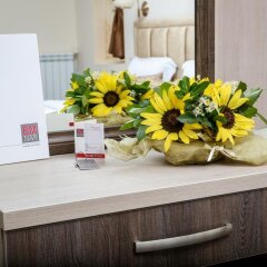 Hotel Emmar Ардино удобства в номере
