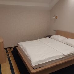 Гостиница Мини-отель Eleon Domodedovo в Домодедово 1 отзыв об отеле, цены и фото номеров - забронировать гостиницу Мини-отель Eleon Domodedovo онлайн комната для гостей фото 3
