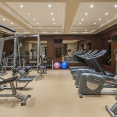 Elite World Istanbul Hotel Турция, Стамбул - отзывы, цены и фото номеров - забронировать отель Elite World Istanbul Hotel онлайн фитнесс-зал