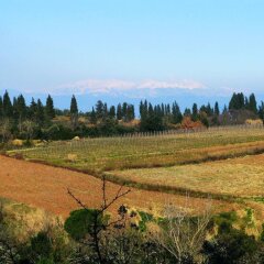 Отель Agriturismo Martignana Alta Эмполи фото 17
