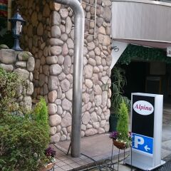 Hotel Alpina Кобе фото 5