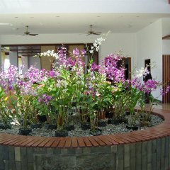 Sss Manhao in Viti Levu, Fiji from 93$, photos, reviews - zenhotels.com photo 2
