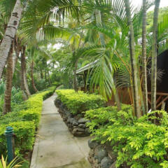 Отель Wananavu Beach Resort фото 17