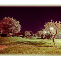 All Ways Garden Hotel & Leisure фото 8