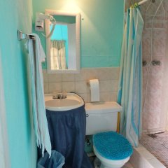 Paul Apartments in St. John's, Antigua and Barbuda from 142$, photos, reviews - zenhotels.com bathroom
