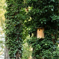 Отель Engimatt City & Garden Hotel Швейцария, Цюрих - 2 отзыва об отеле, цены и фото номеров - забронировать отель Engimatt City & Garden Hotel онлайн фото 6