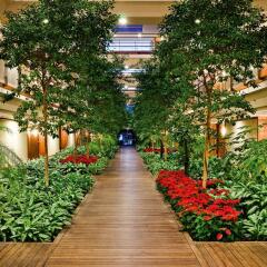 Отель Gloria Serenity Resort - All Inclusive фото 8