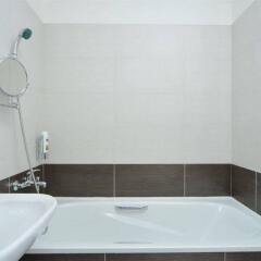 Апартаменты Apartment house Anenská спа