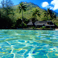 Отель Poerani Moorea бассейн