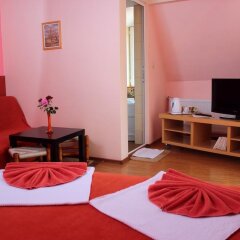 Отель Family Hotel Flora Болгария, Ардино - отзывы, цены и фото номеров - забронировать отель Family Hotel Flora онлайн фото 7