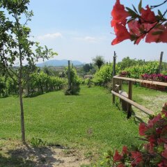 Отель La Casa Vecchia Вальдоббьадене фото 4