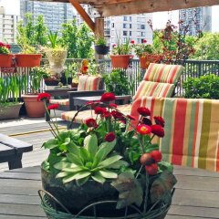 Отель Times Square Suites Канада, Ванкувер - отзывы, цены и фото номеров - забронировать отель Times Square Suites онлайн балкон