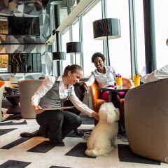 Отель Sofitel Luxembourg Le Grand Ducal с домашними животными