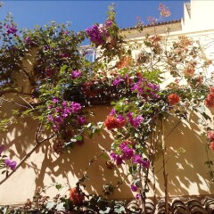 Отель Riad De Rêve Марокко, Загора - отзывы, цены и фото номеров - забронировать отель Riad De Rêve онлайн фото 3