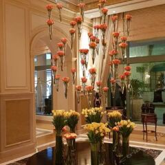 Four Seasons Hotel Alexandria at San Stefano интерьер отеля фото 3