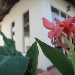 Blue Sea Boutique Hotel фото 13