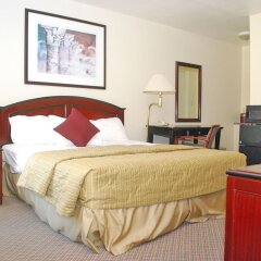 Отель Hollywood Downtowner Inn США, Лос-Анджелес - отзывы, цены и фото номеров - забронировать отель Hollywood Downtowner Inn онлайн комната для гостей фото 3