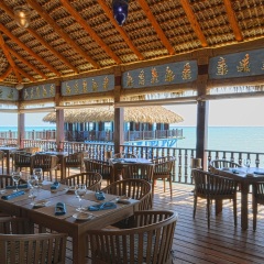 Sanctuary Cap Cana-All Inclusive Adults Only by Playa Hotel & Resorts гостиничный бар