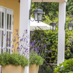 Отель BICH DAO Boutique - Dalat Вьетнам, Далат - отзывы, цены и фото номеров - забронировать отель BICH DAO Boutique - Dalat онлайн фото 18