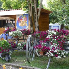 Отель Camping Rialto фото 8