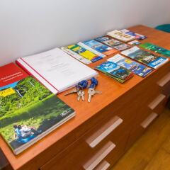 Отель Arquinha Apartment Португалия, Понта-Делгада - отзывы, цены и фото номеров - забронировать отель Arquinha Apartment онлайн удобства в номере фото 2