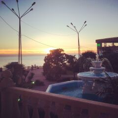 Гостиница Dolphin Resort Hotel & Conference в Сочи - забронировать гостиницу Dolphin Resort Hotel & Conference, цены и фото номеров с домашними животными